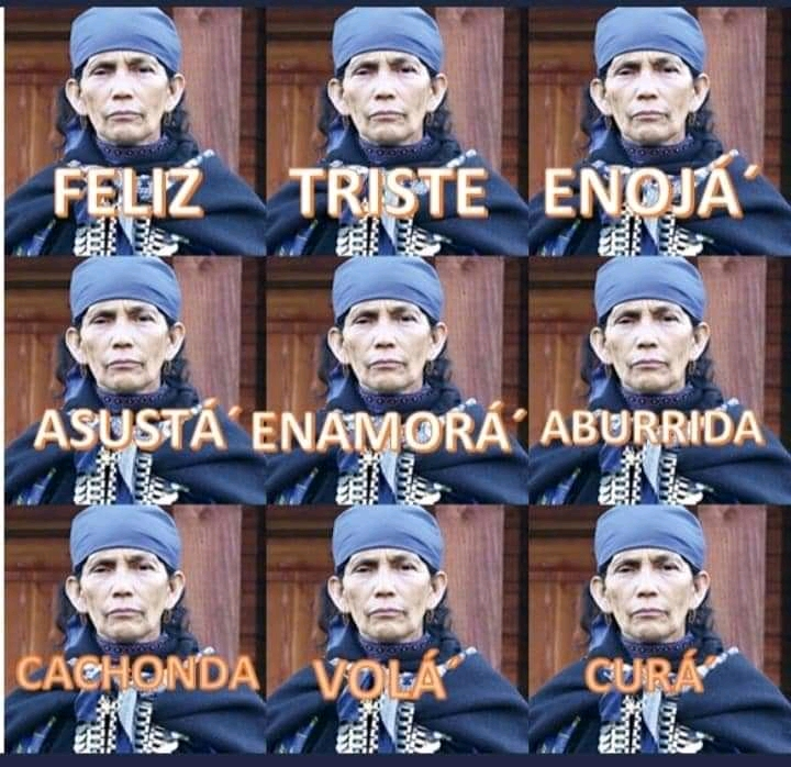 TERE_LAprofe73's tweet photo. LES COMPARTO ESTE COLLAGE FOTOGRAFICO CON LAS DISTINTAS EXPRESIONES DE LA AUTORIDAD https://t.co/6D1yXNPhLs