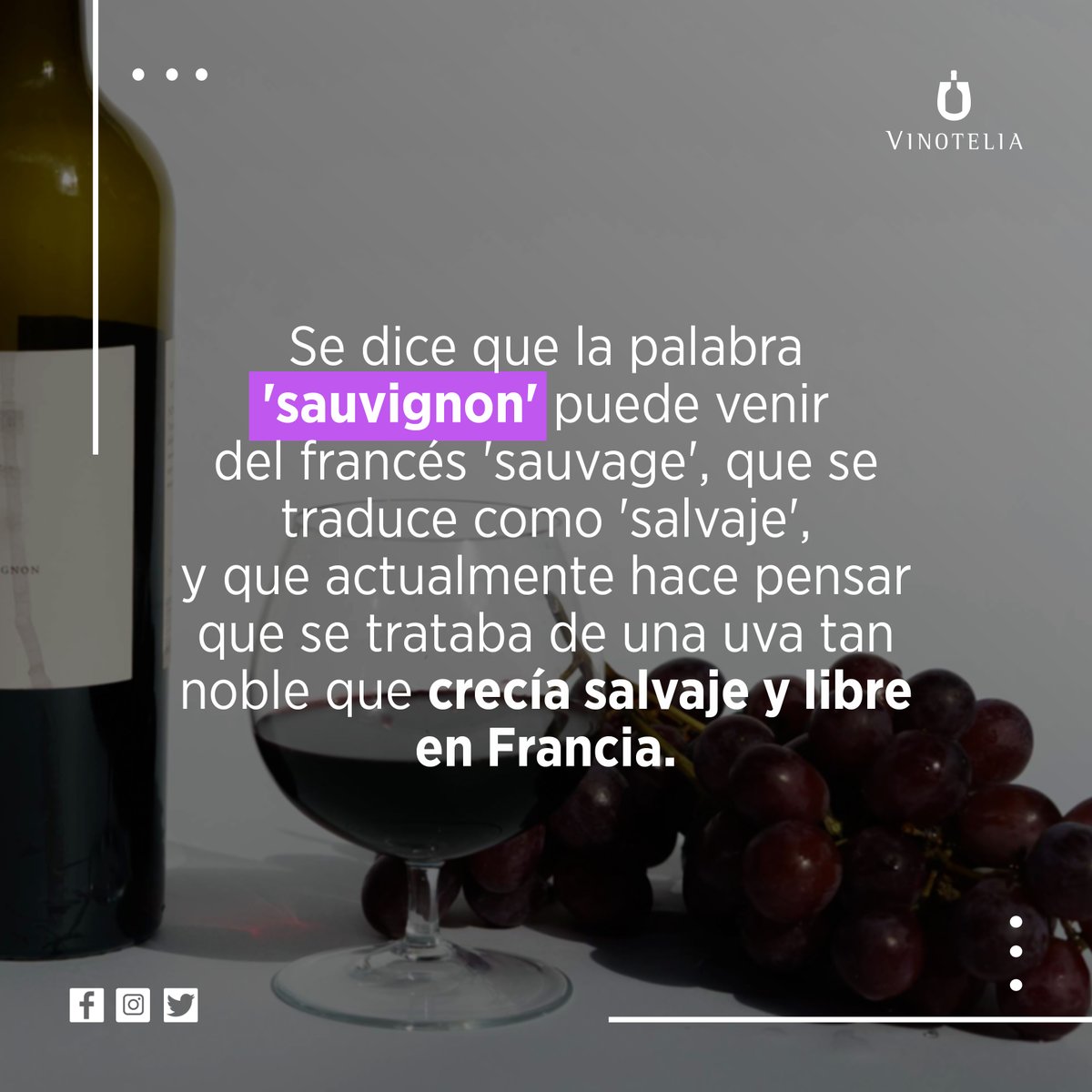 VinoteliaE's tweet photo. ¿Sabías este dato? Amplia tu conocimiento sobre el mundo del vino con nuestro diplomado en vinos "Ser Sommelier". ¡Inscríbete ya! 

Escríbenos 👇
WhatsApp 479 1362304
Email turismovinotelia@gmail.com https://t.co/ifFFc4XJl4