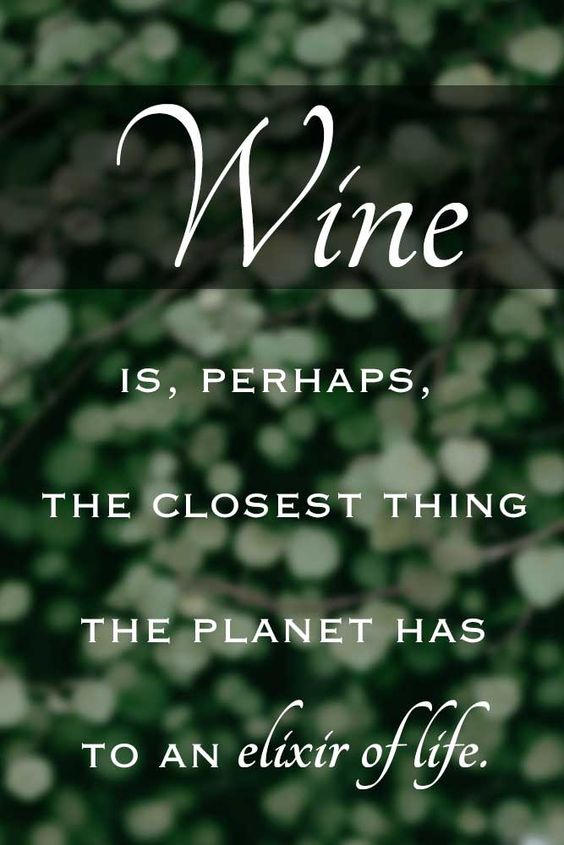 Quote of the day 🍷👍🍇🍷😎 #wine #winelover @DrJeffersnBoggs @winewankers @JeremyPalmer7 @winegal57 @Fiery01Red @BarrettAll @RexChapman @JohnLukeNYC @TheSavvyChef1 @AdamRosenberg16 @Constan70997526 @DemiCassiani @pietrosd @SteveKubota @KellyMitchell @JetsettersFIyin @nineov