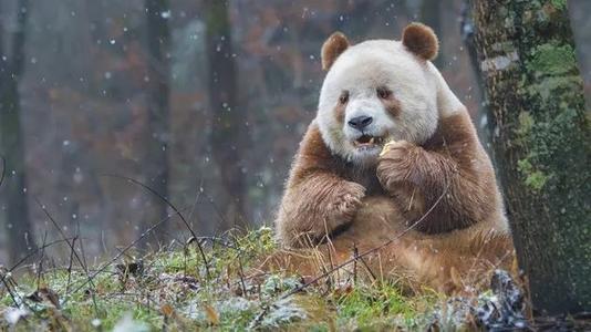 My love. i can not love you much more.😍😍😍