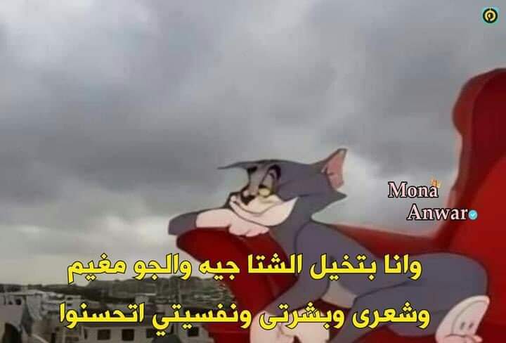 True Memes (@truememes_) on Twitter photo 