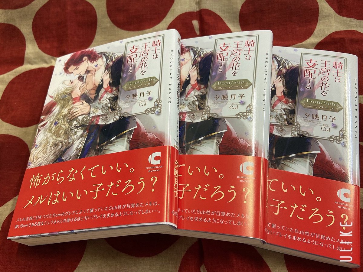 소처럼일하는 ㅅ ㅣ엘 Ciel シエル 3333ciel Twitter