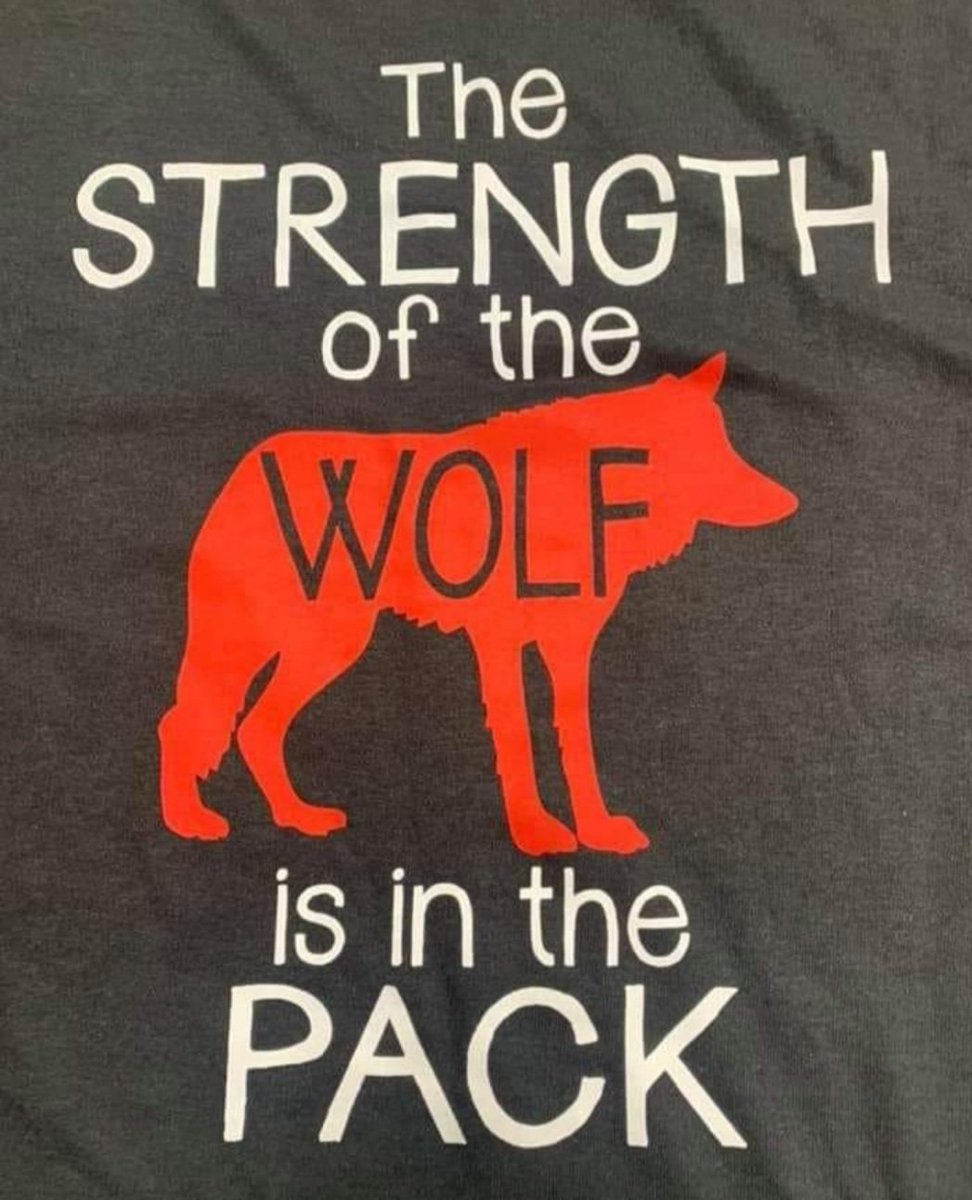 GabeandSam's tweet photo. What a great start to the upcoming school year! Had a blast welcoming our WC Staff Family! Can't wait to see all the amazing things we'll accomplish this year TOGETHER! "The Strength of the WOLF is in the PACK" #WCwolfpack 💪🏼🐺❤🖤 https://t.co/osHJ3XDiL1