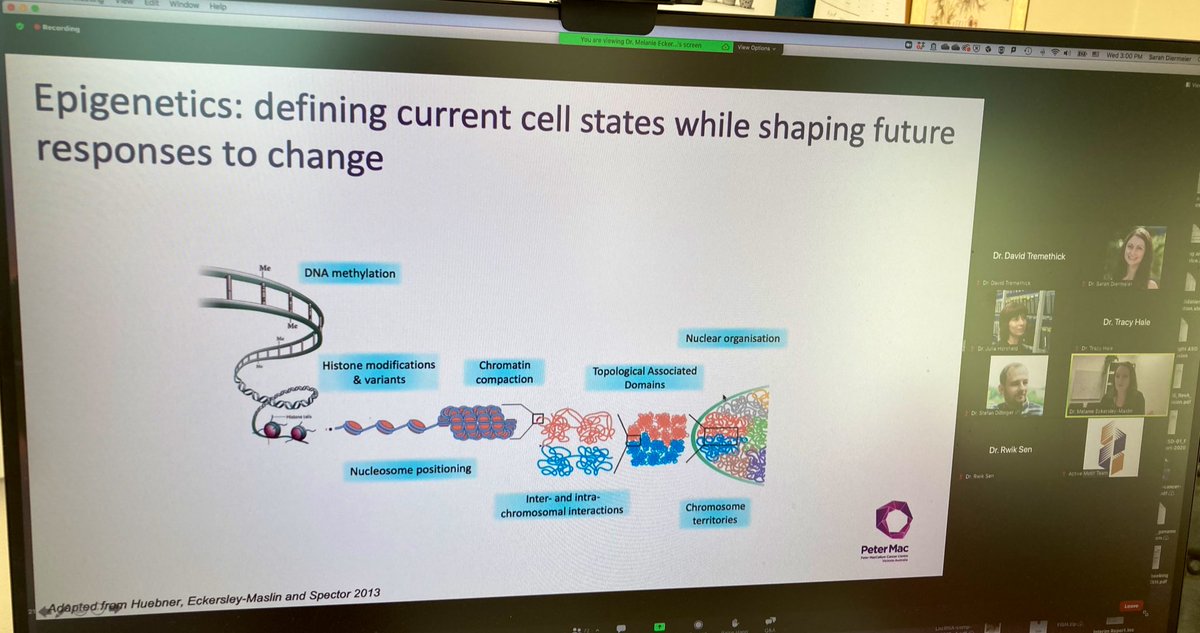 oncogenie's tweet photo. Amazing talks so far at our first #CCDU! I am learning a lot.

Super excited to next hear from my former lab mate @meleckmas, now group leader @PeterMacRes https://t.co/s1w5YW4Ck6