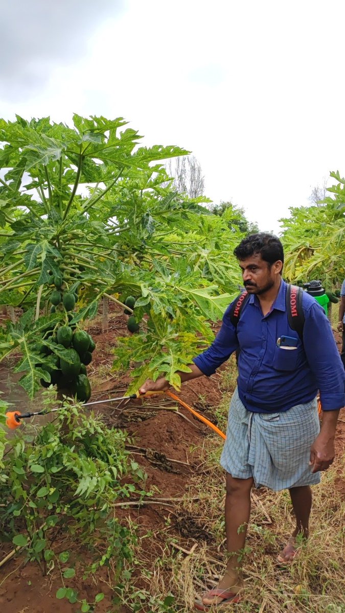 Hi7 Agri Biosolutions tweet media