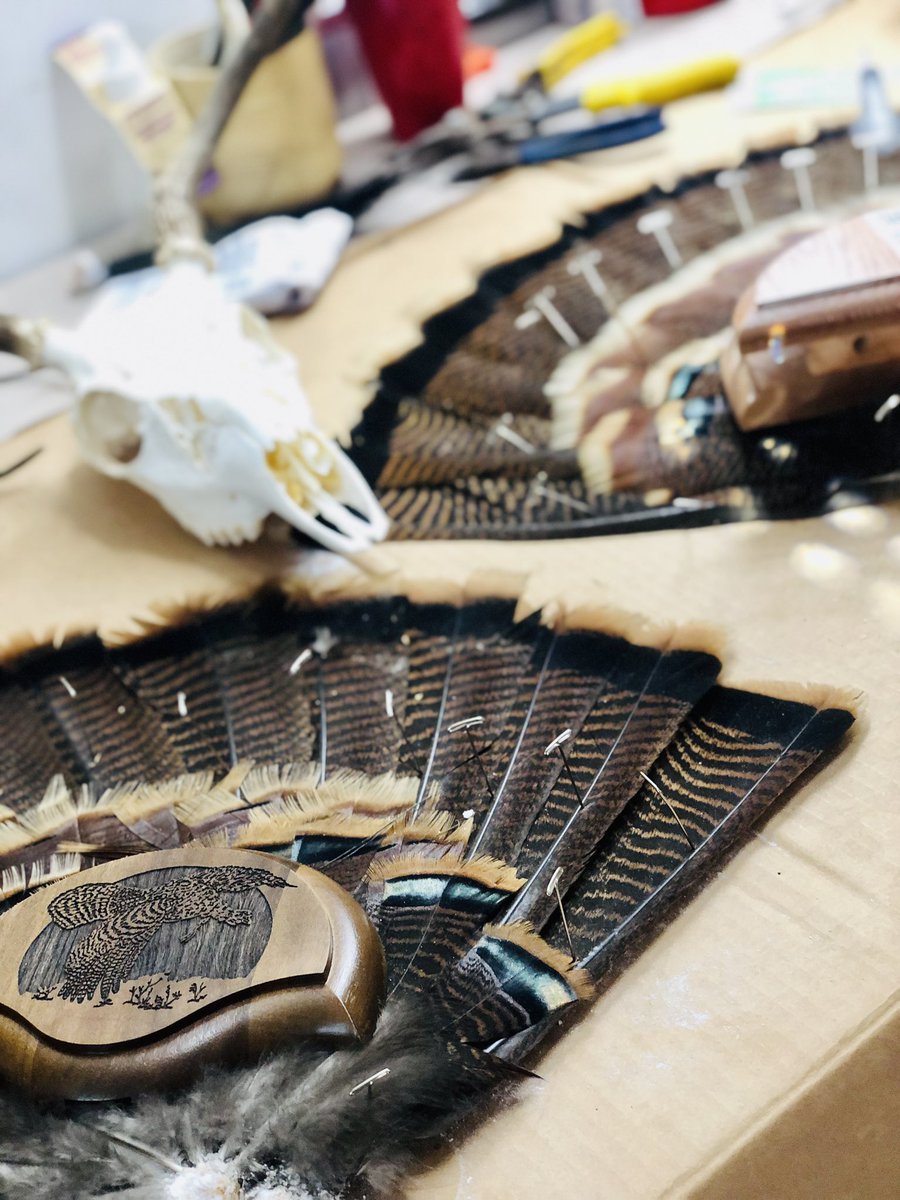 Brazos Bend Taxidermy tweet media