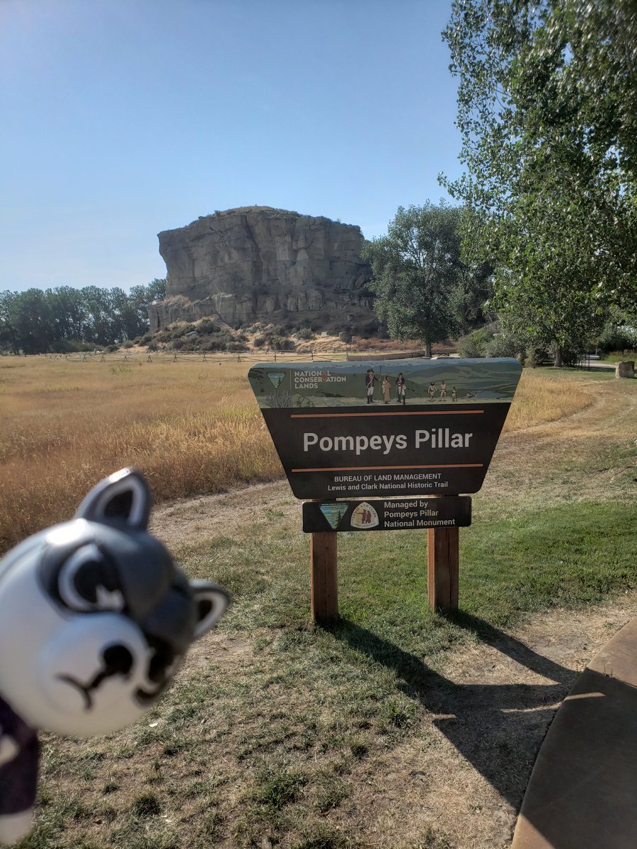 Day 11 highlights of #BoltonFamilyRoadTrip2021, #GraceyOutdoors, #HarrySummerTour, and our first day #WestboundAndDown. Drove from Bismarck and Billings with great stops at @TRooseveltNPS and #PompeysPillar. #NorthDakota #Montana