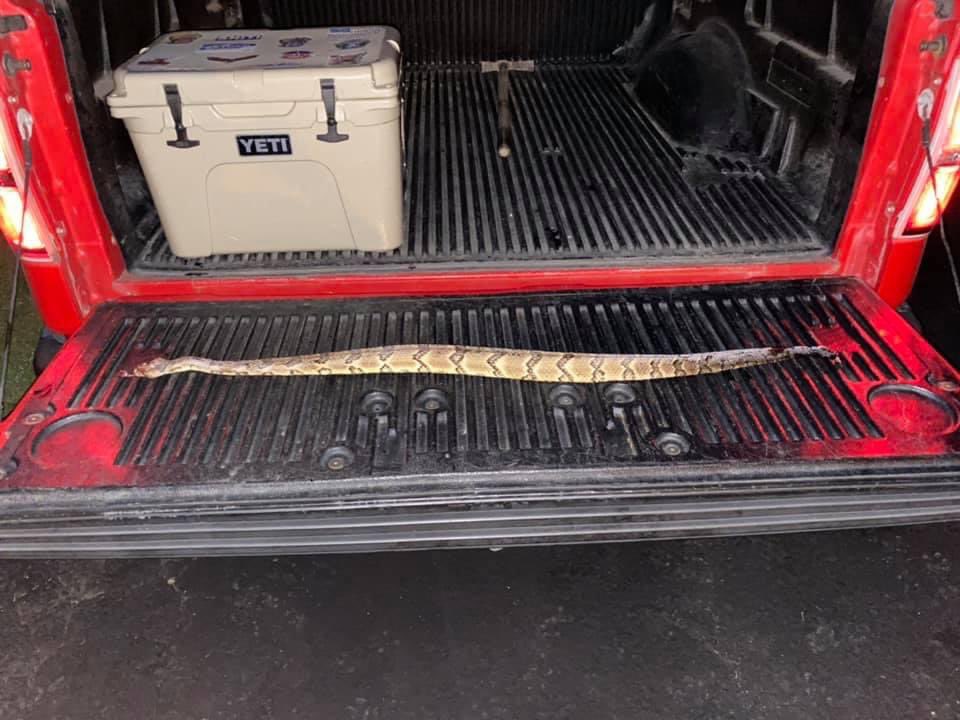 Cameron Fugate tweet media