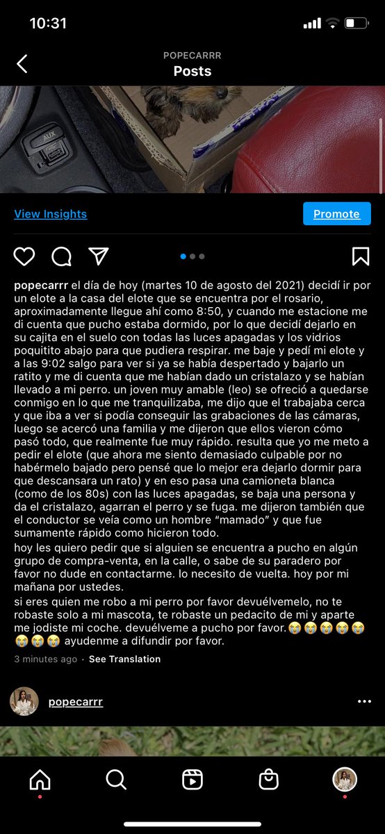 popecarrr's tweet image. por favor denle rt y ayúdenme a difundir!!! me robaron a mi perro 😭😭😭😭
pls retweet