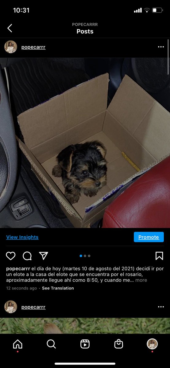 popecarrr's tweet image. por favor denle rt y ayúdenme a difundir!!! me robaron a mi perro 😭😭😭😭
pls retweet