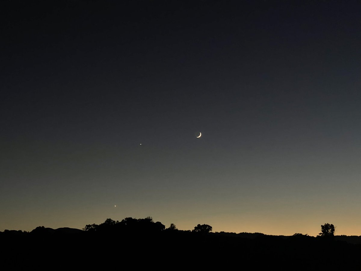 Alexander Wong tweet media