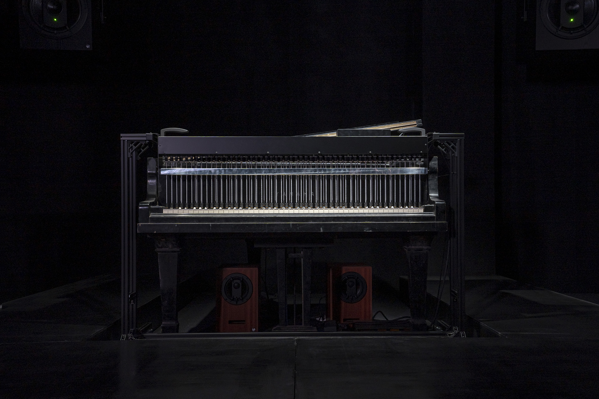 ryuichi sakamoto on Twitter: