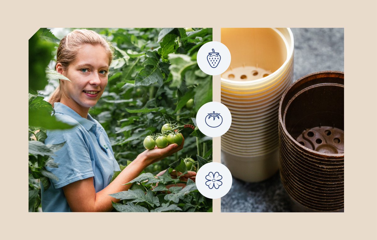Use of sustainable material🍃🌍We offer our growers various ways to promote and boost sustainability together. Can we help you with our sustainable horticulture solutions? bit.ly/2XjlPC4⬅#batoplastics #bato #sustainability #biobased #biodegradableproducts #horticulture