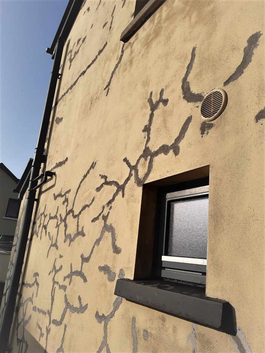 This is a picture the side of my house that had to be filled at 65 I am trying to hang onto my home that 
<a href="/DarraghOBrienTD/">Darragh O'Brien</a>
 couldn't give a toss about I will loose my home in a few years I will also loose my independence everything I worked for Please do not like but RETWEET