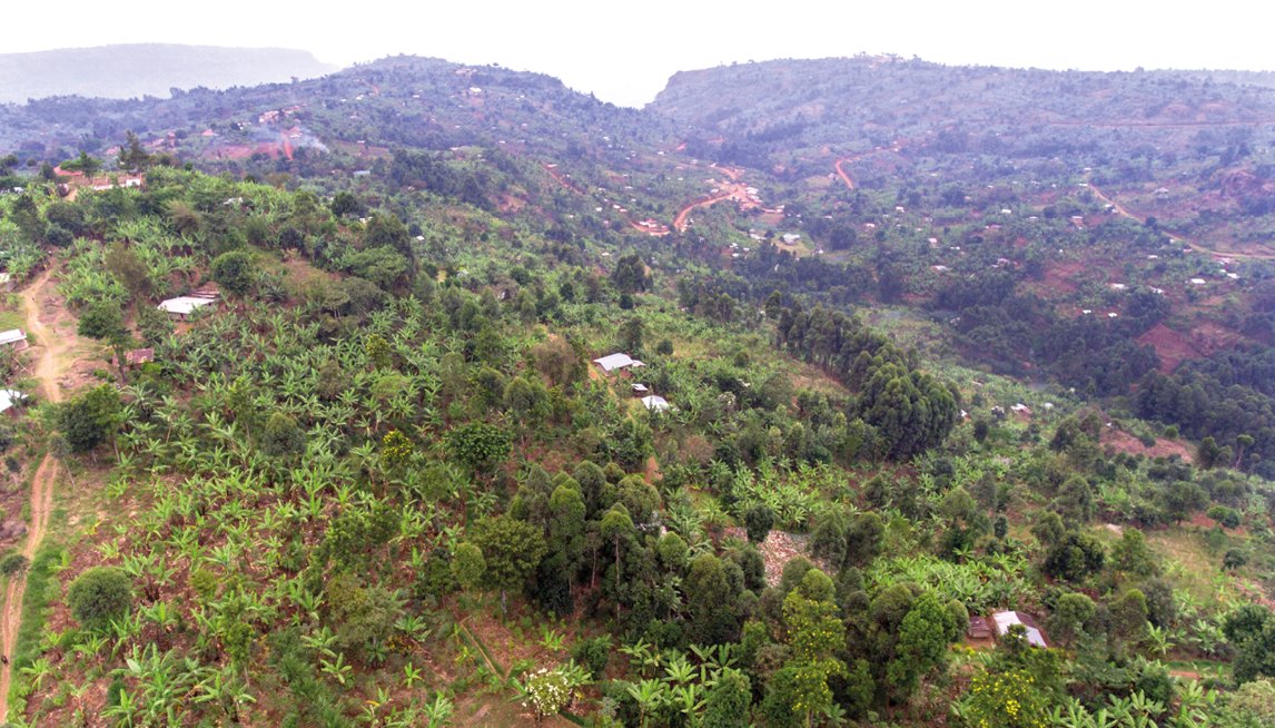 Fantastic to see 15m trees planted in a heavily deforested area of eastern Uganda as part of our initiative to help tackle the climate emergency.

For every child born or adopted in Wales – one tree is planted in Uganda and the other here in Wales!

➡️ gov.wales/15-millionth-w…