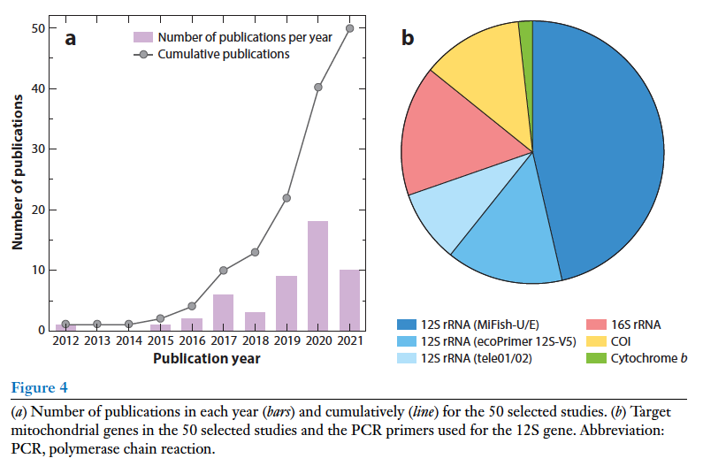 ReeFishNews's tweet photo. All what you want to know about the use of eDNA metabarcoding to monitor marine fishes

The new bible on this hot topic 
https://t.co/BTiCcuqEJ7

# of papers is rising with the use of 12S rRNA primer 

Very local species inventory on coral reefs

Many (>10) PCR replicates needed https://t.co/G9TwsDZqA5