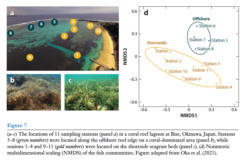 ReeFishNews's tweet photo. All what you want to know about the use of eDNA metabarcoding to monitor marine fishes

The new bible on this hot topic 
https://t.co/BTiCcuqEJ7

# of papers is rising with the use of 12S rRNA primer 

Very local species inventory on coral reefs

Many (>10) PCR replicates needed https://t.co/G9TwsDZqA5