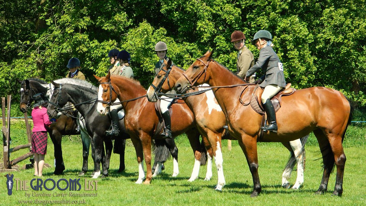 grooms_list's tweet photo. JL84765 Staffordshire Live in full-time Groom/Rider. Showing.
*Own horse considered *Accommodation available
https://t.co/YfXQYAUszn
#horsejobsinstaffordshire #showing #showponies #equinejobs #equinecareers #jobs #Vacancies #horses #workwithhorses #equinestaff #equinerecruitment https://t.co/dEfYOeErbu