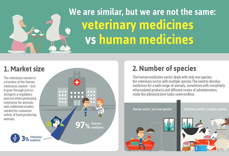 Intracinpharma's tweet photo. #Veterinary medicines vs #humanmedicines

Differences between the #veterinarymedicine and the human medicine sectors, including who the products are made for and how they are used.

#vetmed #veterinarysupplier #vetproducts #veterinarymarket #intracin #veterinaryinfo #Intracin https://t.co/okwDP1TbKm