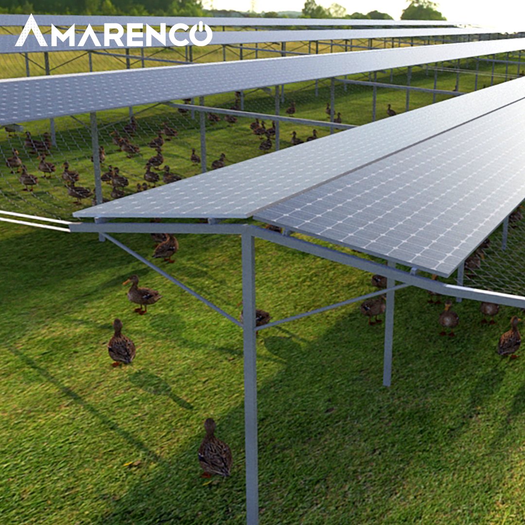 DÉVELOPPEMENT DE PROJETS SPÉCIFIQUES | Les abris de culture et d’#élevage proposent un équilibre entre la performance #agricole et la performance #énergétique. 
Grâce à un environnement sain et ombragé, l’abri d’élevage est un atout. Il protège également des aléas #climatiques.