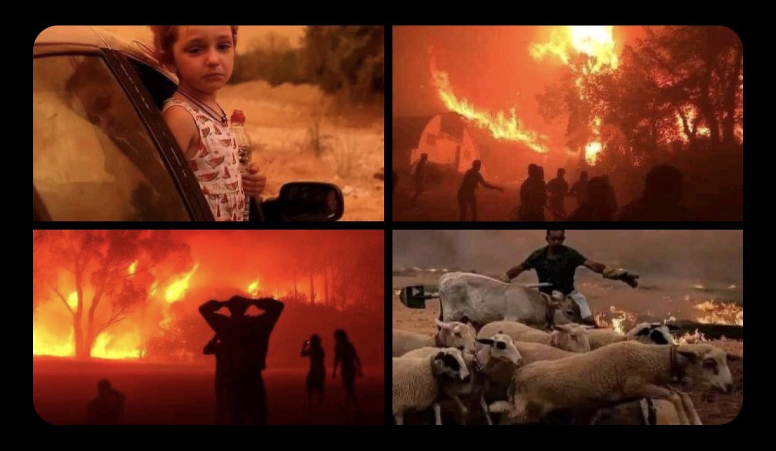 thoughts and prayers to the victims of Tizi Ouzou. Post on social media to spread the info so our brothers in Algeria can get the international help they need. 

#TiziOuzou #PrayForAlgeria #DZ 🇩🇿🤲❤️