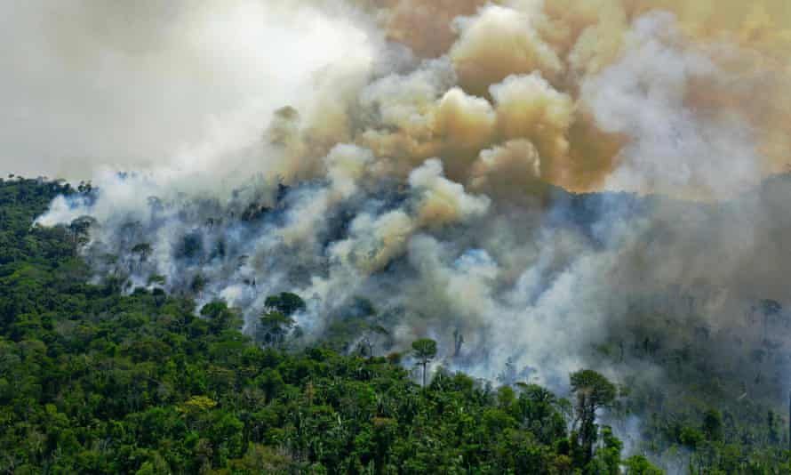 The Amazon rainforest is now emitting more carbon dioxide than it is able to absorb, scientists have confirmed for the first time. buff.ly/3yU0vR2
#climateneutral #climate #ClimateCrisis #ClimateAction #ClimateJustice #ClimateStrike #ClimateEmergency #carbonoffset