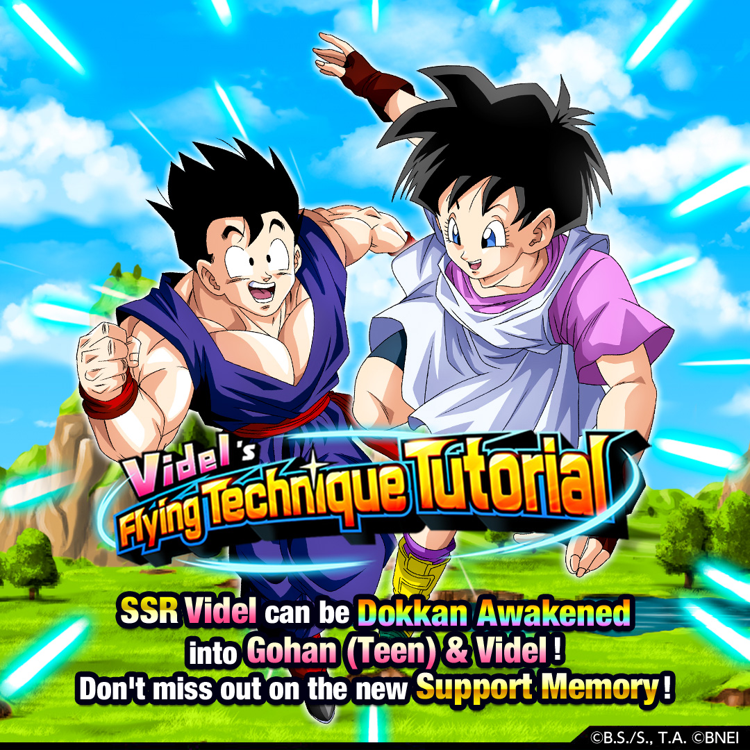 Dragon Ball Z Dokkan Battle on Twitter: 
