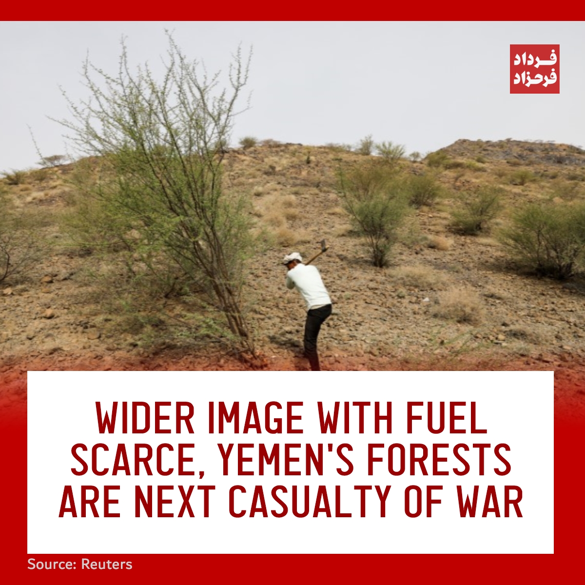 FardadFarahzad's tweet photo. WIDER IMAGE With fuel scarce, Yemen's forests are next casualty of war
#wood #Emadi #Yemen's
https://t.co/SGjNiy2c8h https://t.co/tsQcmzaSLe