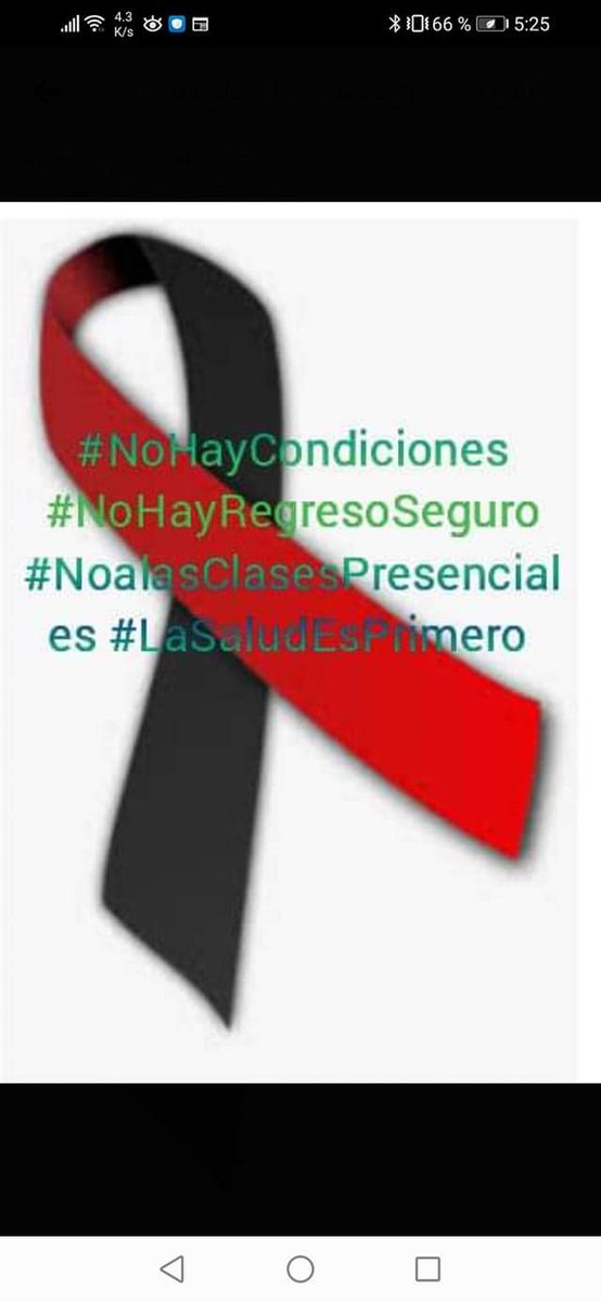 caritadeangella's tweet photo. No es por miedo, es por amor a nuestros hijos, cuidar su vida y salud. #NoHayRegresoSeguro #NoHayCondiciones #noalasclasespresenciales
@SEP_mx @lopezobrador_ @alfredodelmazo @delfinagomeza https://t.co/2cUAQnyeBD