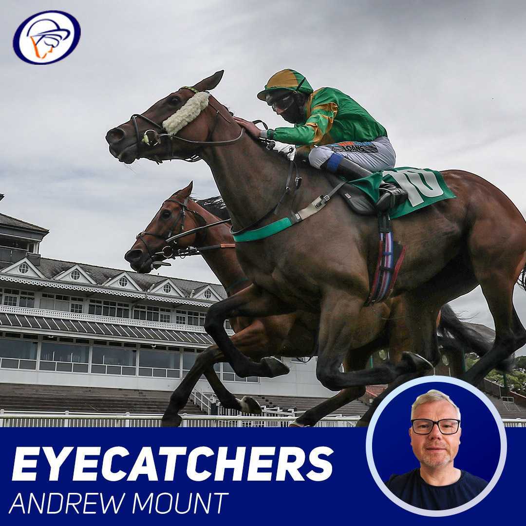 Gg On Twitter Mount S Eyecatchers Trendhorses Talks Us Through The 10 Horses Who Impressed Him Last Week Don T Forget To Add Them To Your Gg Alert System So You