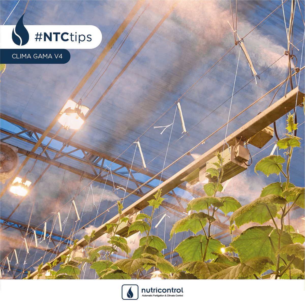 Nutricontrol_es's tweet photo. 📢Controlar humedad y temperatura en el invernadero es indispensable en verano.Los controladores de clima gama V4 de Nutricontrol controlan la humidificación en cada uno de los compartimentos climáticos.
#controlclimatico #nutricontrol #NTCtips #agriculturasostenible #invernadero https://t.co/g2GyML9Kqq