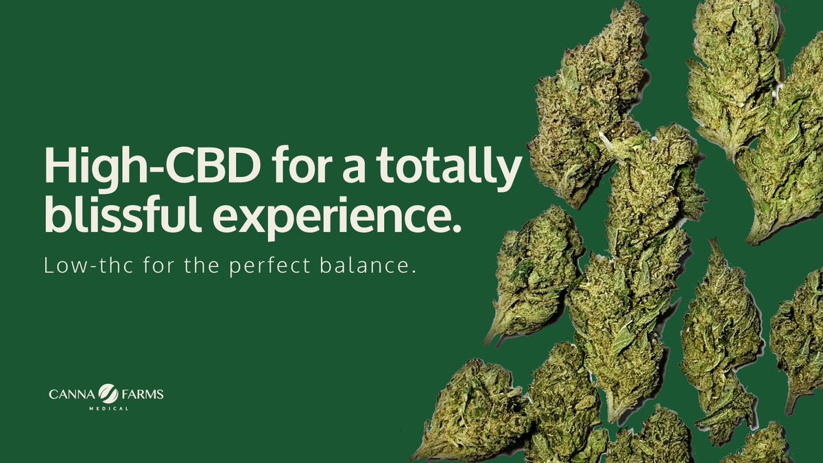Cannabliss: 17.2% CBD, 6.7% THC, and 2.37% total terpenes. Click link in bio to learn more.