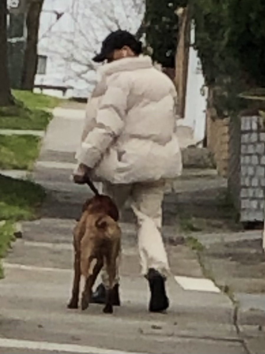 BULEEN ROAD @ BALWYN NORTH. This dog just attacked me. It was on the leash but jumped to bite me at the stomach She didn’t stop him, I had to remove myself She didn’t even have a mask on, although we are in a lockdown What do you do???