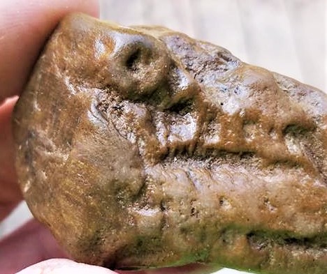 Eurypterus's tweet photo. A characteristic of sponges that aids in their identification is their #PROSOPYLE the entry hole/channel/pore leading into the choanocyte-lined chambers. It is formed by one #syncytial donut-shaped cell, the #porocyte. These #incurrent pores / #ostia are a basic unit of sponges. https://t.co/pEYv92U8Vq
