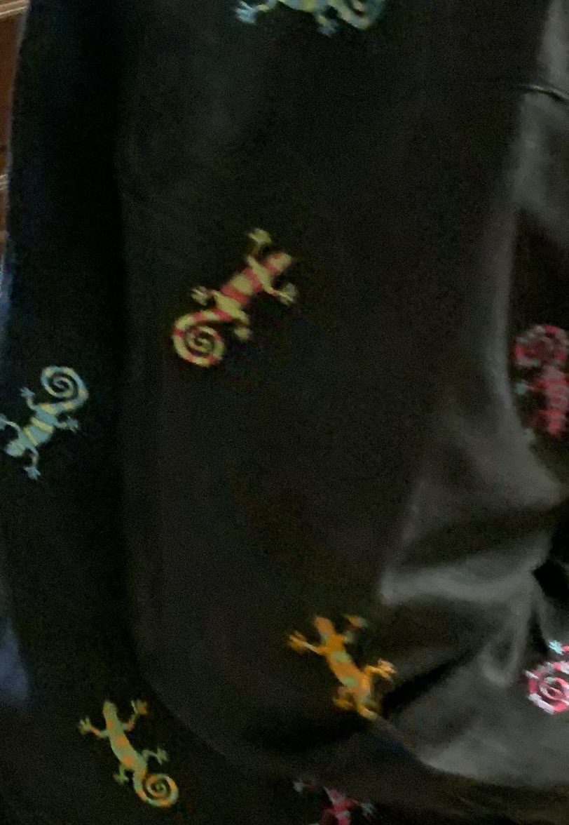 My moms shirt called that lizards. 2nd show as good as the first #phish