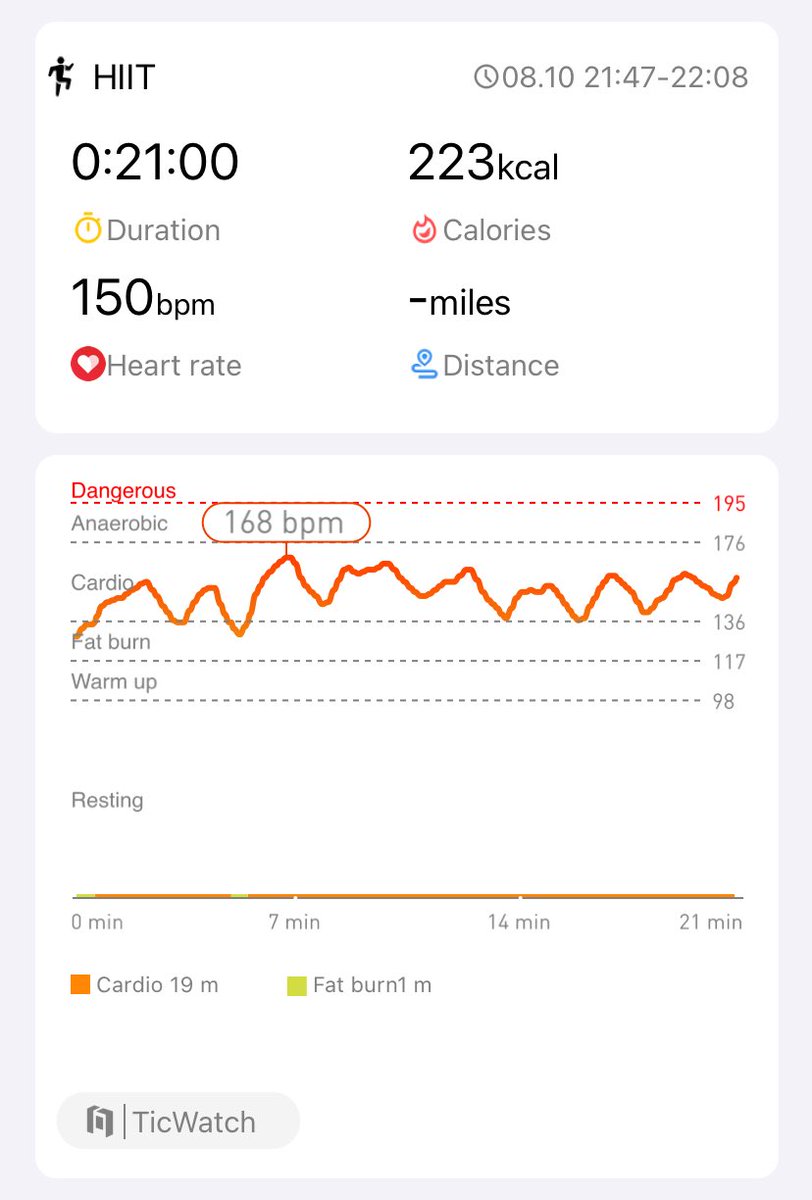 Turtle turtle tweet media