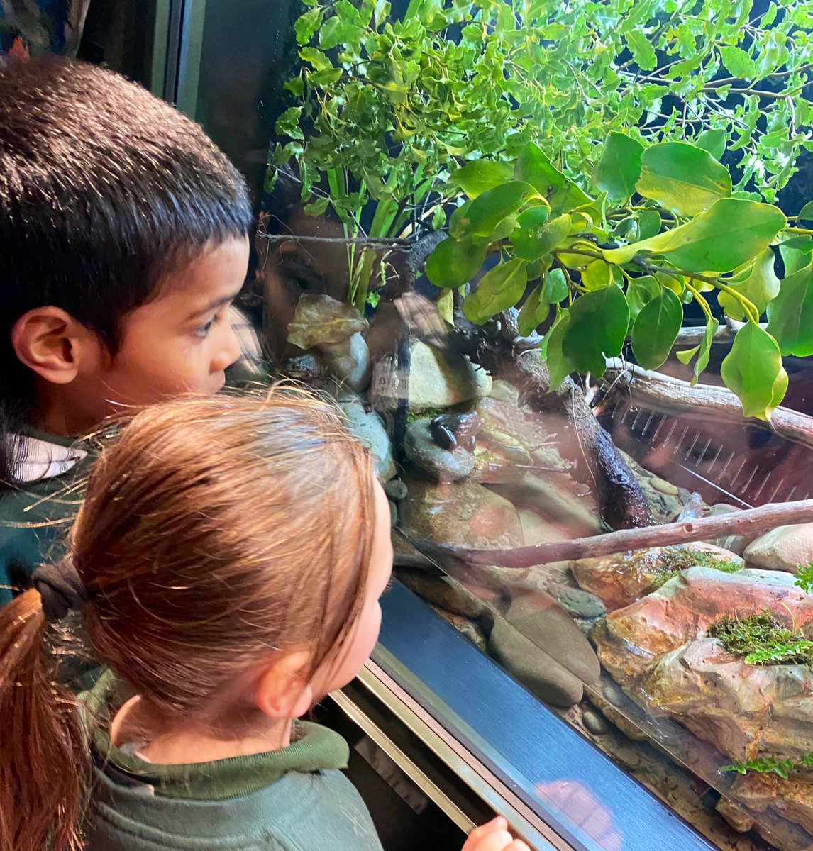 2021Pitau2's tweet photo. What an amazing trip at Orana Park! Our children enjoyed seeing new and old friends, and loved seeing the sun 🌞 ngā mihi nui to our parent helpers! We couldn’t have done it without you! #bromleyschoolnz https://t.co/7dlGVQ5DFS