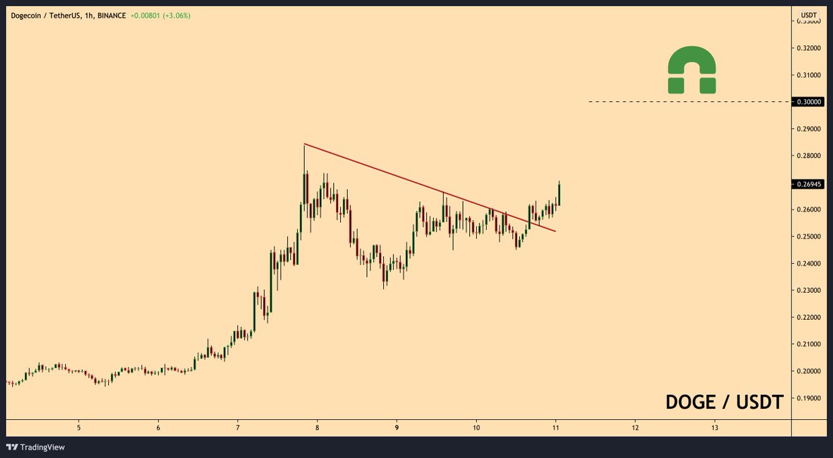 RookieXBT's tweet photo. $DOGE

gonna make it all back with doggy coin https://t.co/tg57xk4HrN