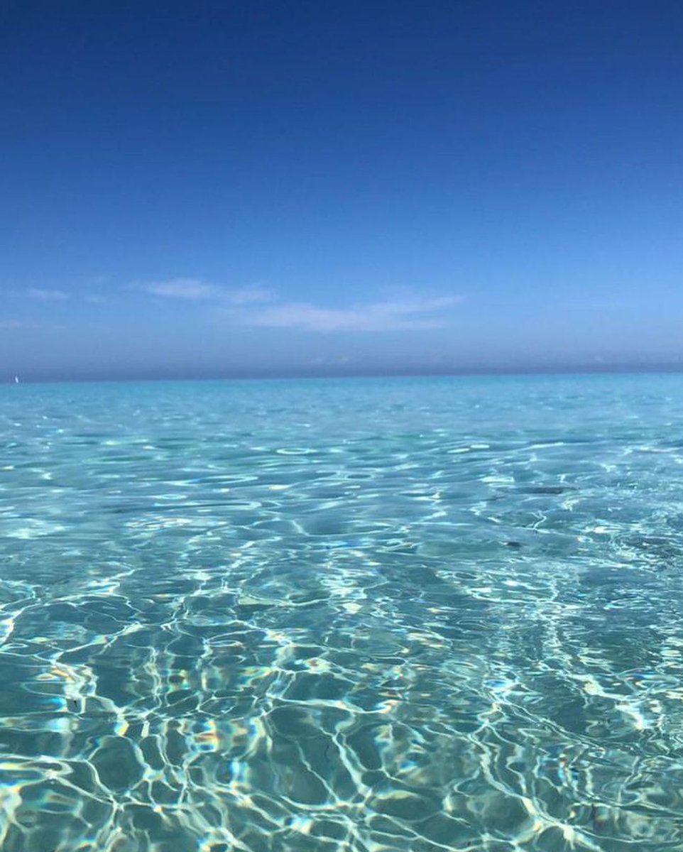 ViajesKronos_'s tweet photo. Excursión “Isla Paraíso”

El disfrute verdadero está en la playa, en el encuentro con el agua y con la forma en que la arena sana el alma

https://t.co/KZDUrl9Lkc https://t.co/pwp15SIpJR