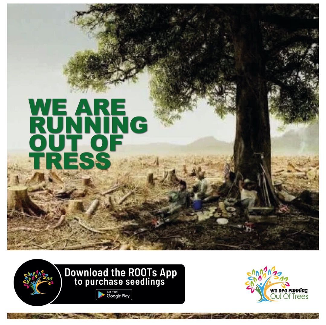 An average size tree produces enough oxygen in one year to keep a family of four breathing. If only one tree does this much, how about more! Plant a tree today. Download the ROOTS  app today and donate 1500Ugshs. #RunningOutOfTrees