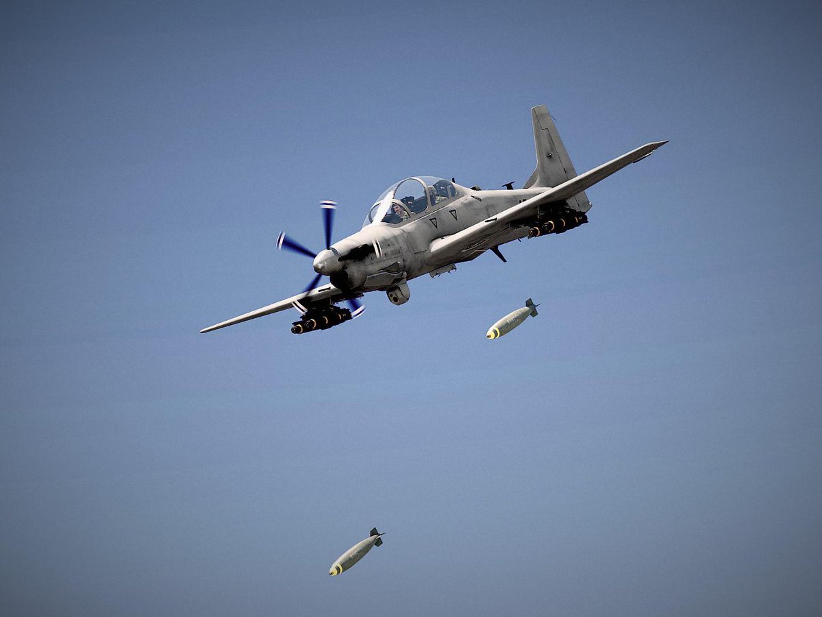 عقاب بال بریده tweet media