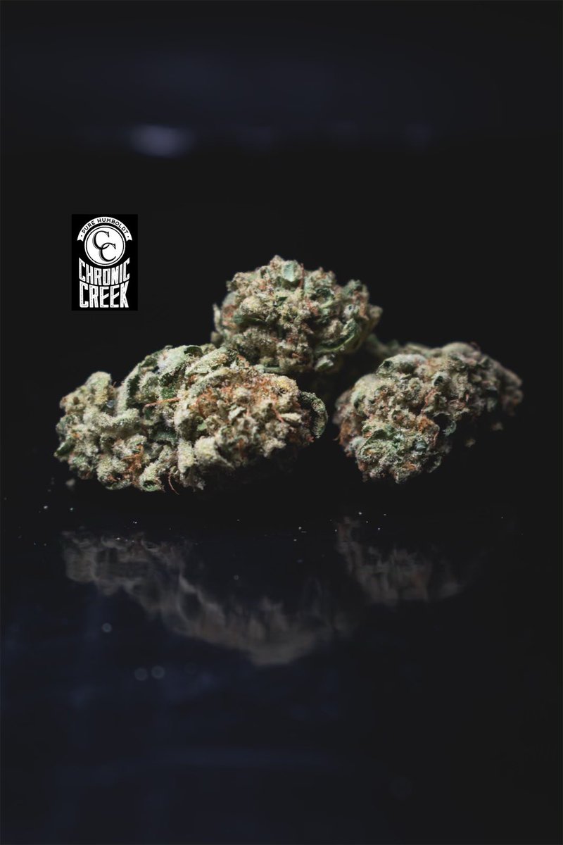 ChronicCreek's tweet photo. Fresh #wakanja (Nigerian Haze x Purple Punch) dropping in the Bay and Sac this week……….What’s your go to shop? https://t.co/jlpQU5fuEs