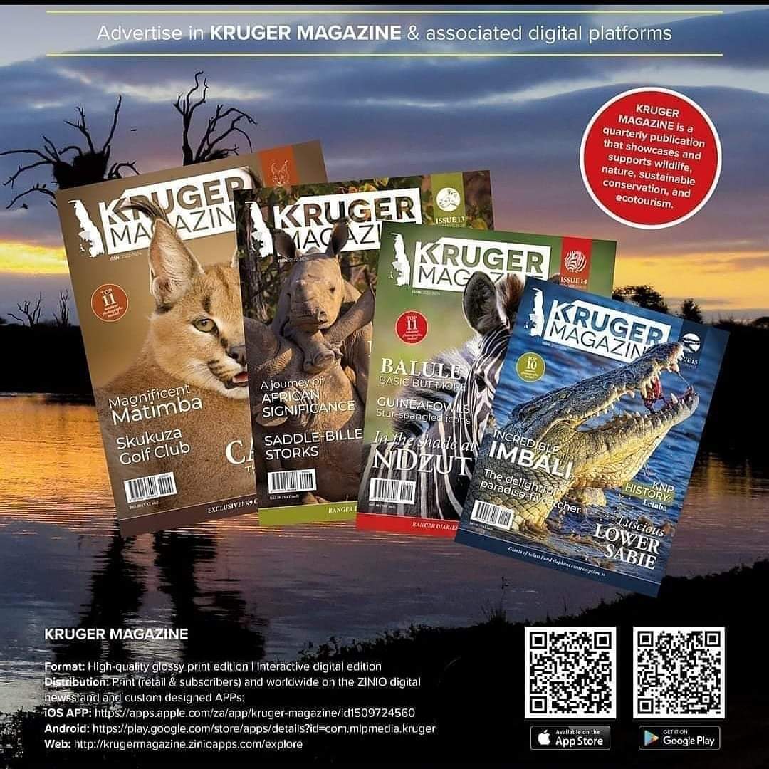 MagazineKruger's tweet photo. Book your advertising space now in the Spring issue of KRUGER MAGAZINE 
Target your Local market.
Special offer 
1/2 page R7500
1/4 page R4500
Closing date for bookings 18 August 2021 https://t.co/47zivatI3k