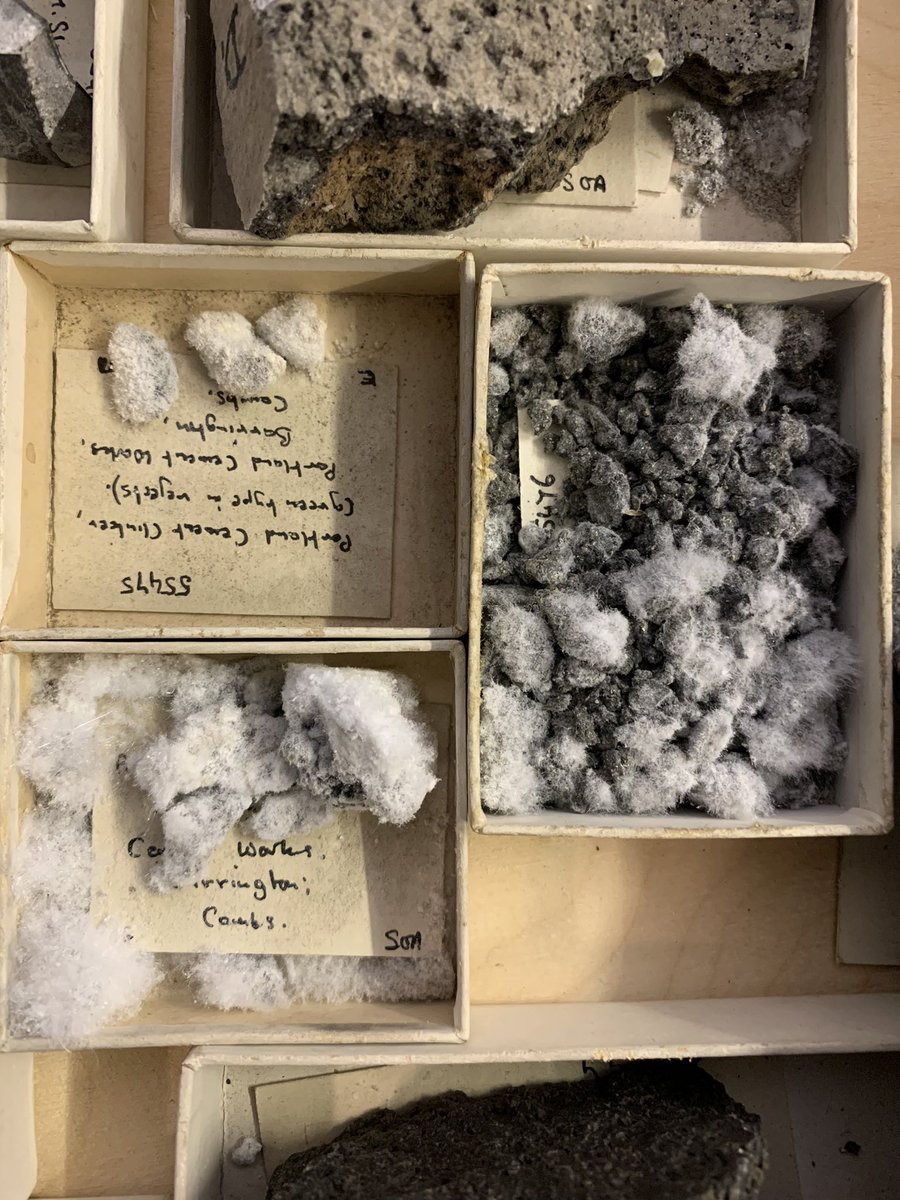 jen_gossman's tweet photo. #movingamountain the occasional signs of pyrite decay or other efflorescence in geological collections When these signs are discovered the collection team recorded them so the specimens can be monitored . #collectioncare @CUConservation @SedgwickMuseum https://t.co/7Akhh3kMZY