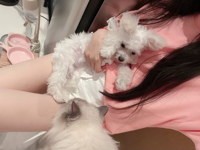 Twitterのコスプレ画像54