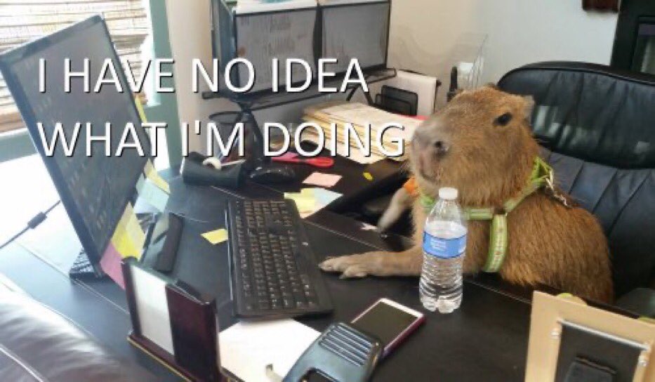 CapybaraCountry's tweet image. 