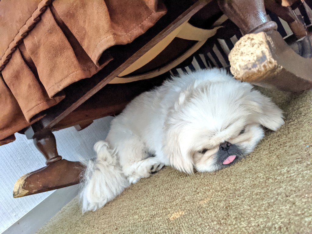miraclechun's tweet photo. 母ちゃんが物心ついた時にはもう実家に存在していた揺り椅子。
こんなにガジガジしたの、ダ〜レだ❓❗
それにしても、気持ちよさそうに寝んねしてるね☺

#ペキニーズ #いぬのいる暮らし #犬好きさんとつながりたい #揺り椅子 #ガジガジ #おひるね #ぐっすり https://t.co/AfAD8yg4y7