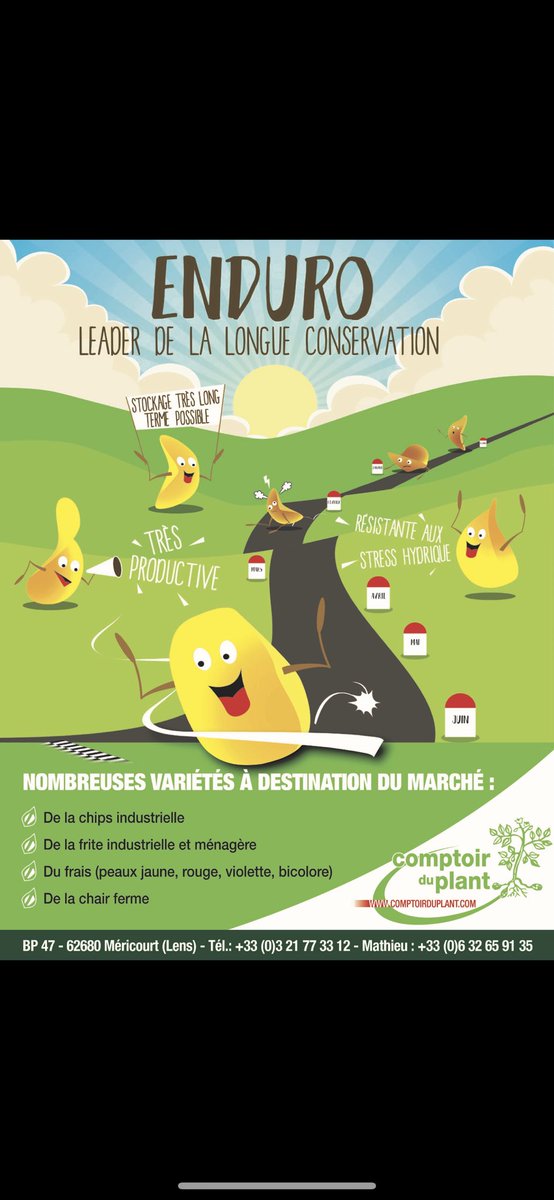 Comptoir du Plant (@plantdu) on Twitter photo 