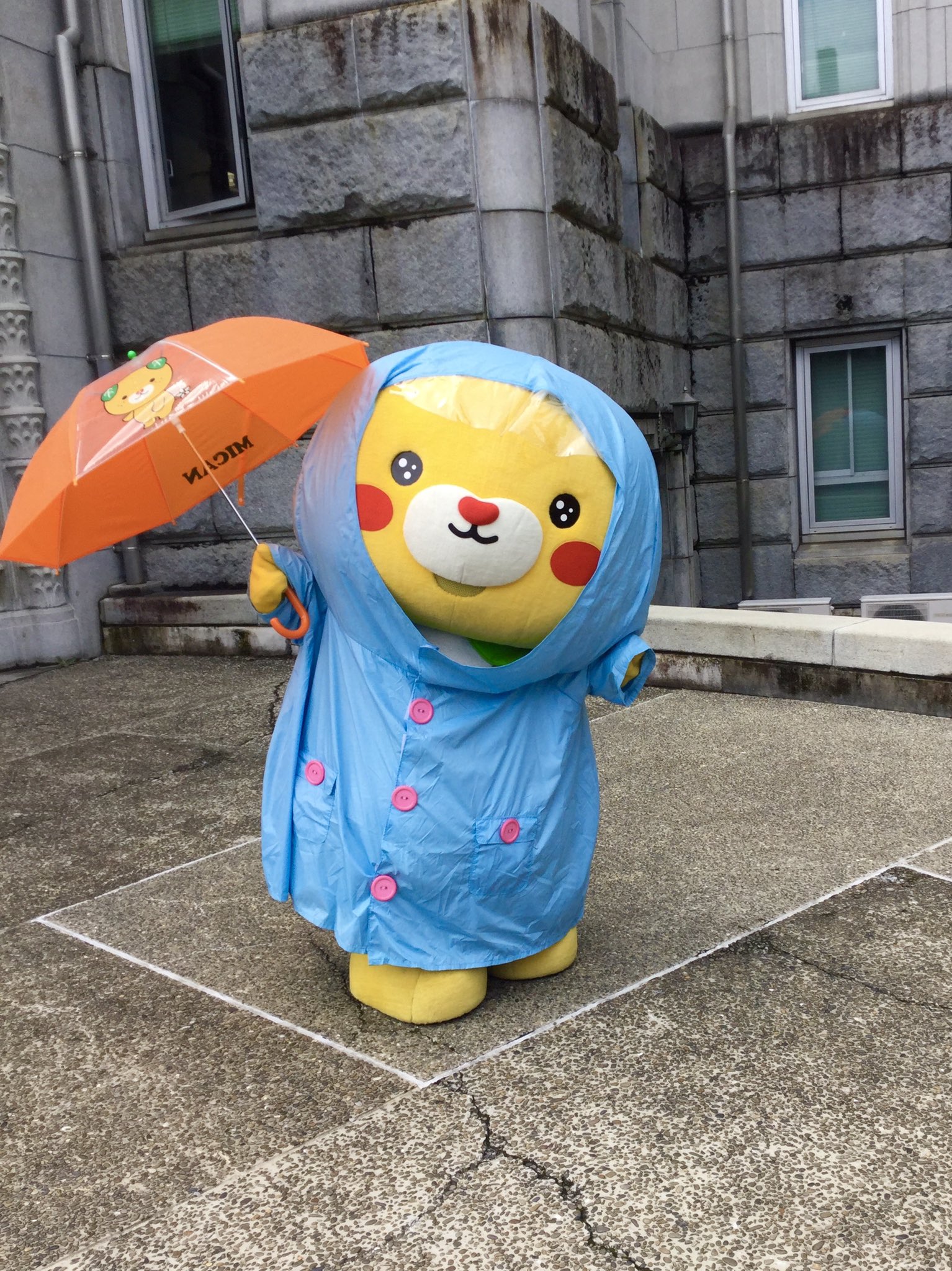 こみきゃん 公式 愛媛県 Uchinokomican Twitter