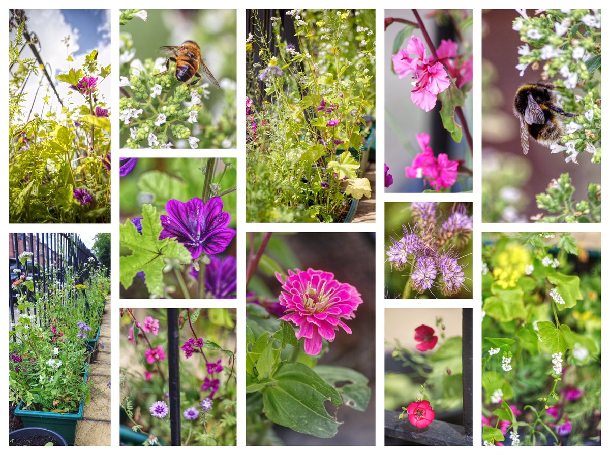 HooleCommunityCentre tweet media